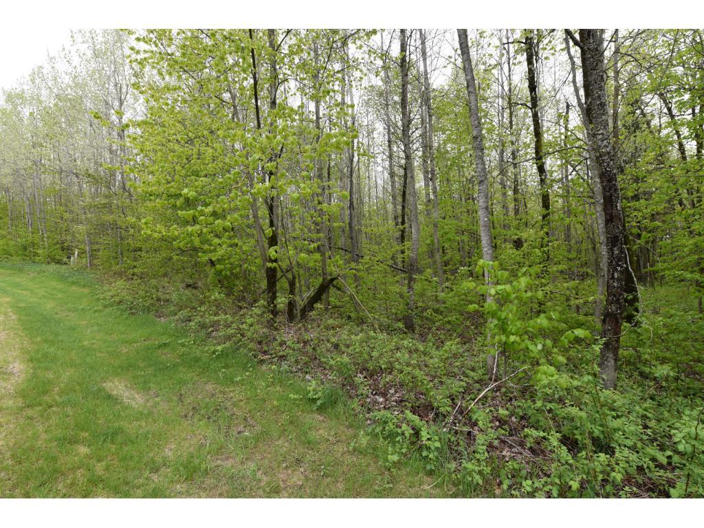 TBD Lot 3 Green Forest Circle Brainerd Home Listings - Chad Schwendeman Real Estate