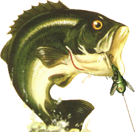 Fish on hook